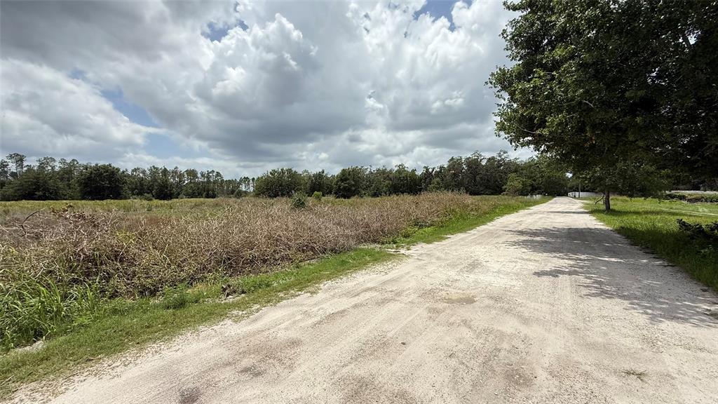 Wells Wesley Chapel, FL 33545 - Photo 5 of 9 a view of a pathway with a yard