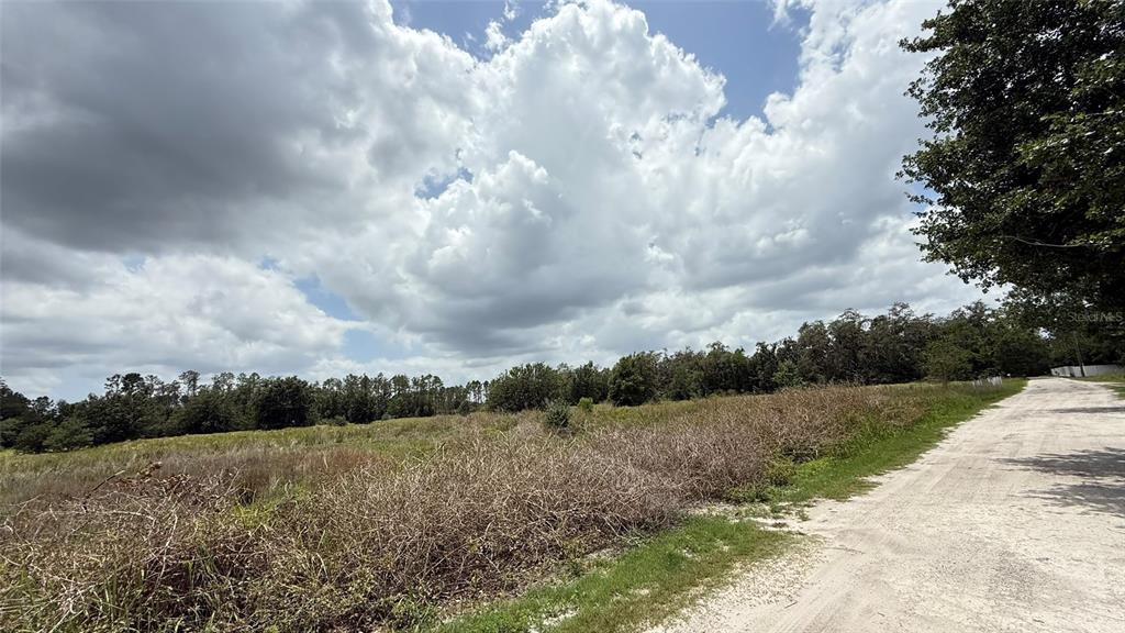 Wells Wesley Chapel, FL 33545 - Photo 6 of 9 a view of a yard