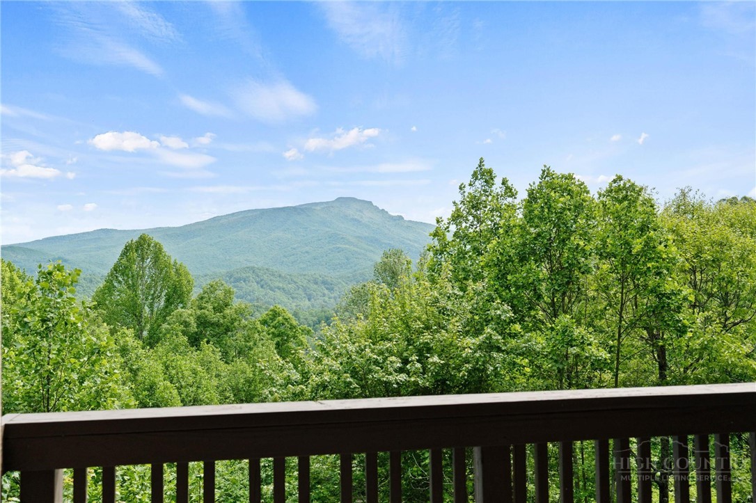 142 Evening View Lane, Unit CA3 Boone, NC 28607 - Photo 17 of 41 a view of a forest