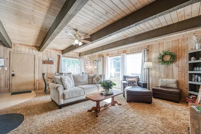 a living room with furniture and a couch