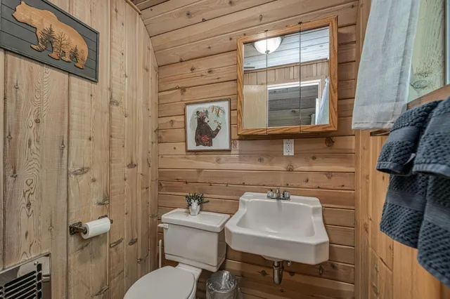 a bathroom with a sink and a toilet