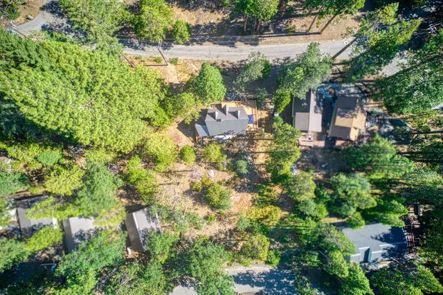 a view of a city with lush green forest