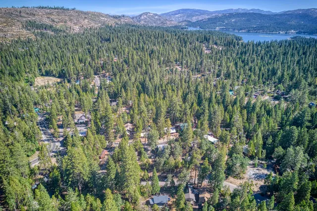 a view of a lush green forest with trees and some houses