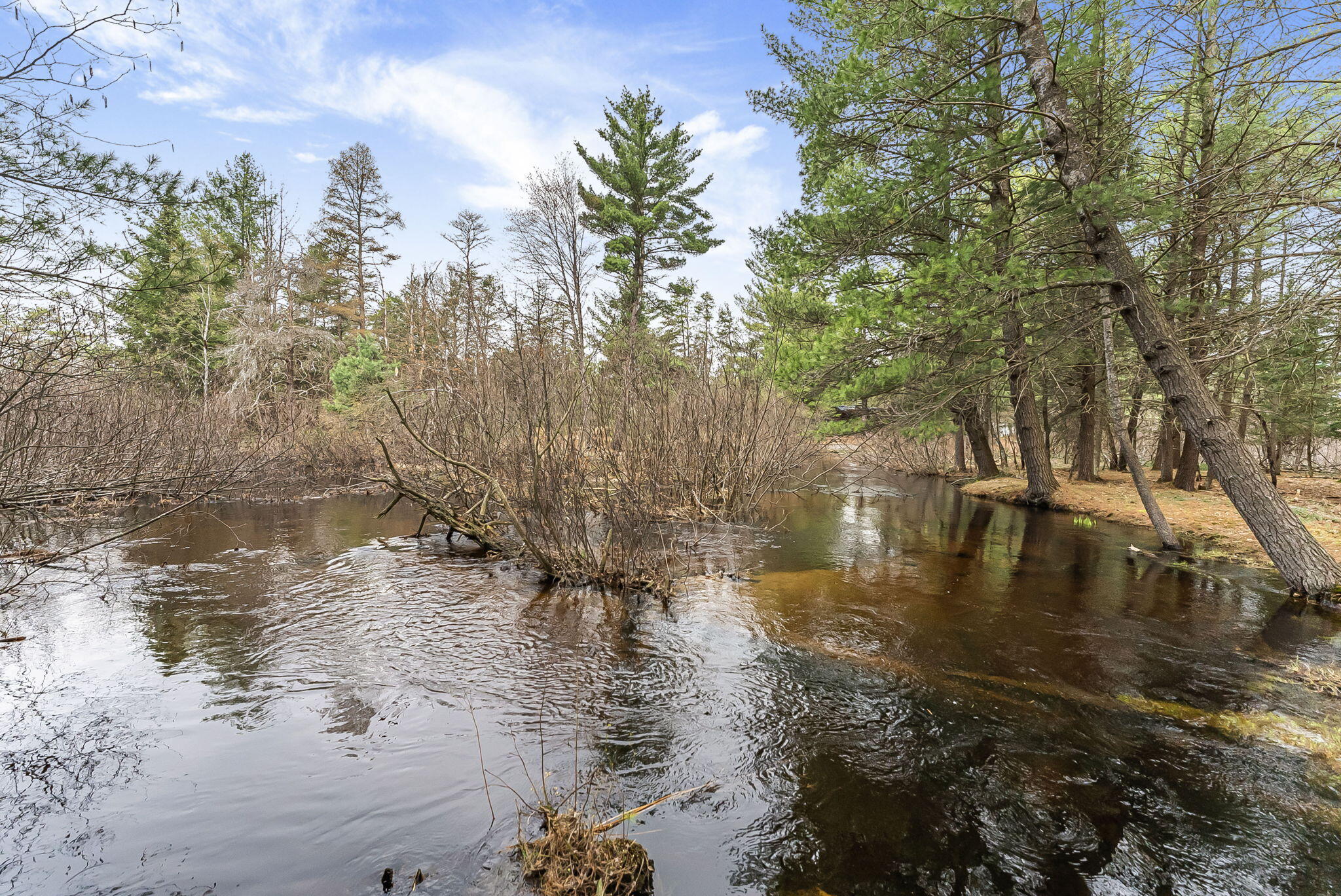 9890 Angel Road Southeast Fife Lake, MI 49633 - Photo 36 of 55 19-web-or-mls-DSC09563