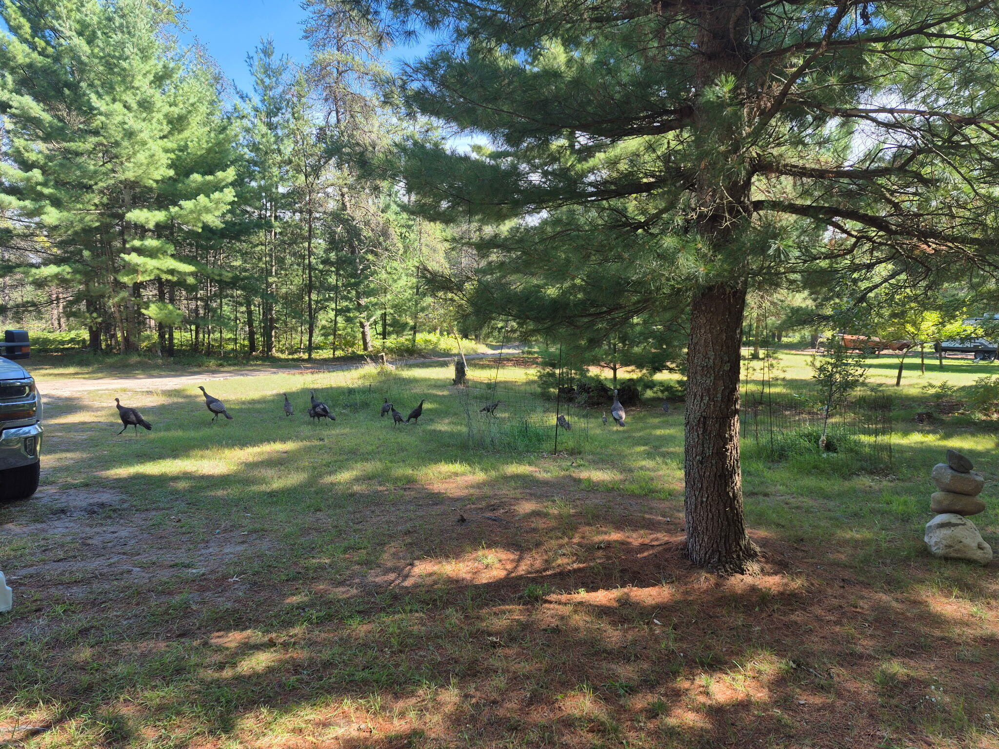 9890 Angel Road Southeast Fife Lake, MI 49633 - Photo 52 of 55 IMG_20260426_094228