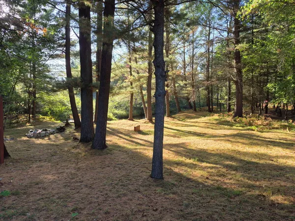$255,000 | 9890 Angel Road Southeast, Fife Lake, MI 49633