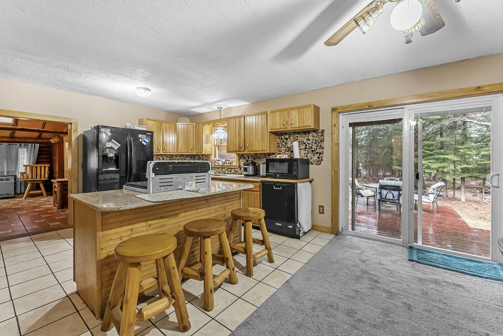 9890 Angel Road Southeast Fife Lake, MI 49633 - Photo 9 of 55 36-web-or-mls-DSC09649