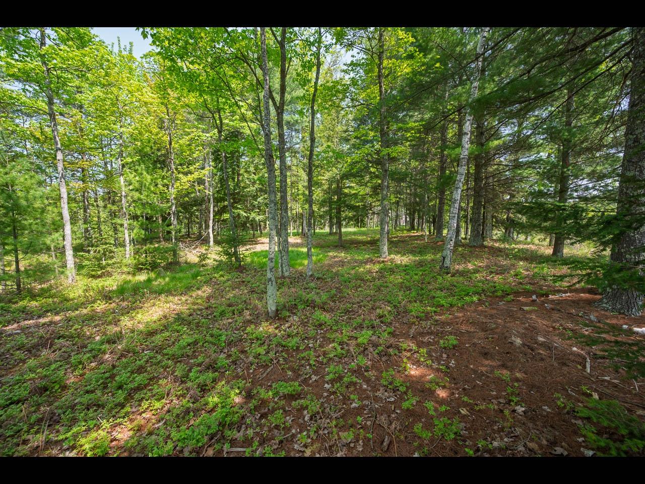 Lot 13 Memory Lane Eagle River, WI 54521 - Photo 9 of 40 Gallery Image 9