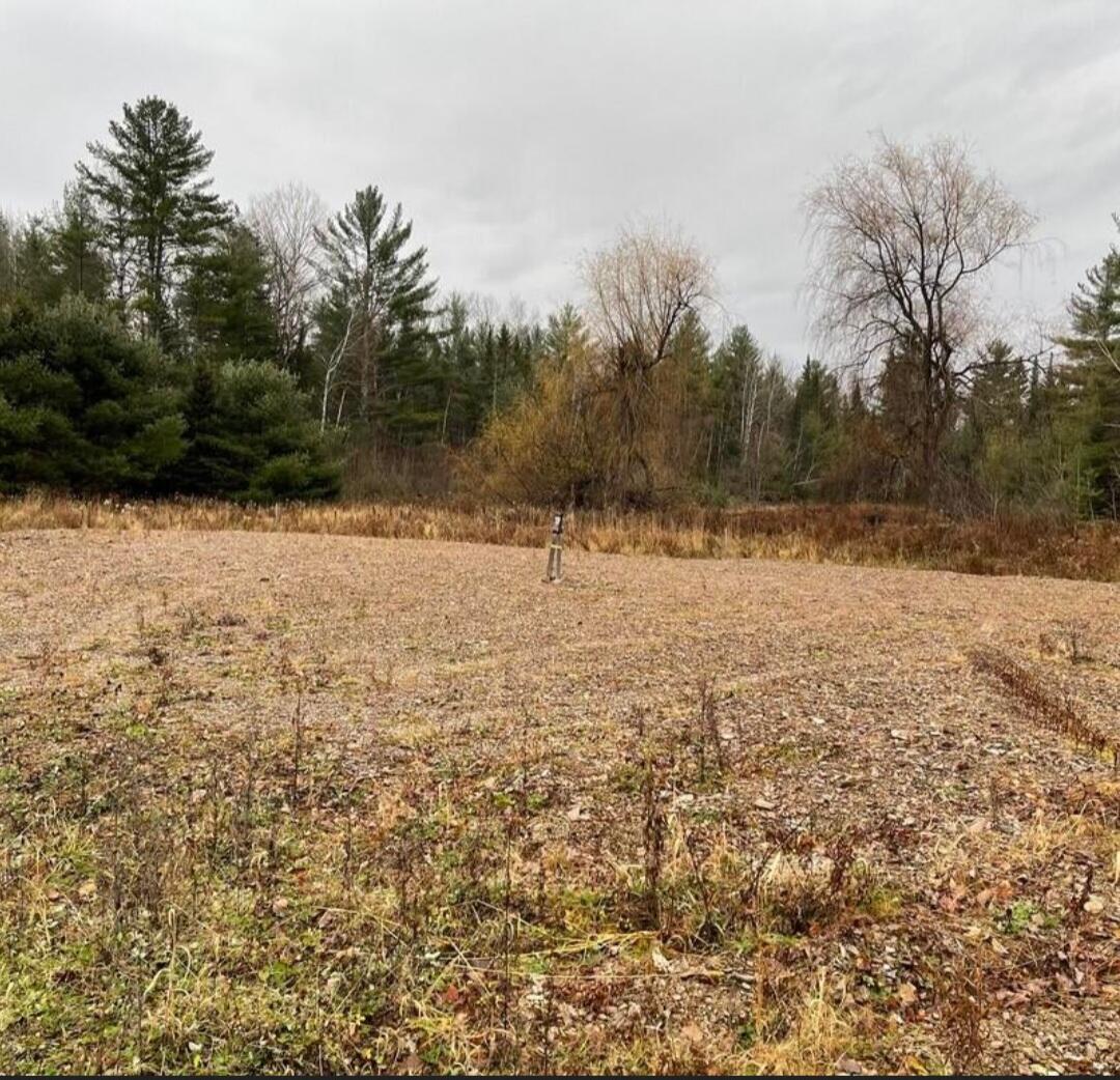 0 Nokomis Road Corinna, ME 04928 - Photo 2 of 5 Screenshot_20230125_145412_Chrome