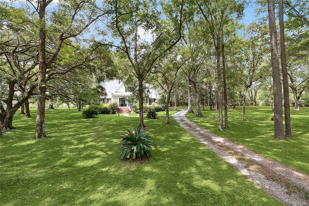 75045 Robert Bush Road Covington, LA 70435 - Photo 3 of 36 Gallery Image 3