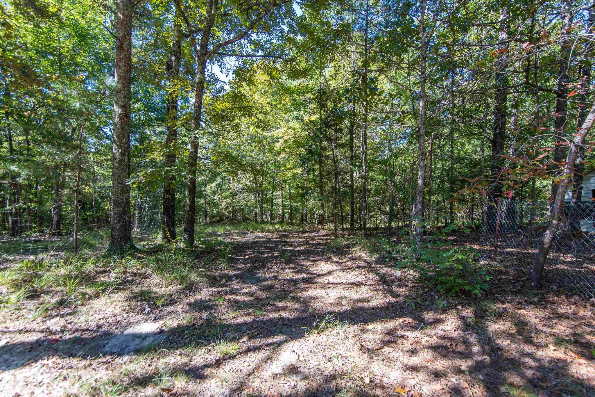 8254 Highway 57 Ramer, TN 38367 - Photo 17 of 20 Gallery Image 17