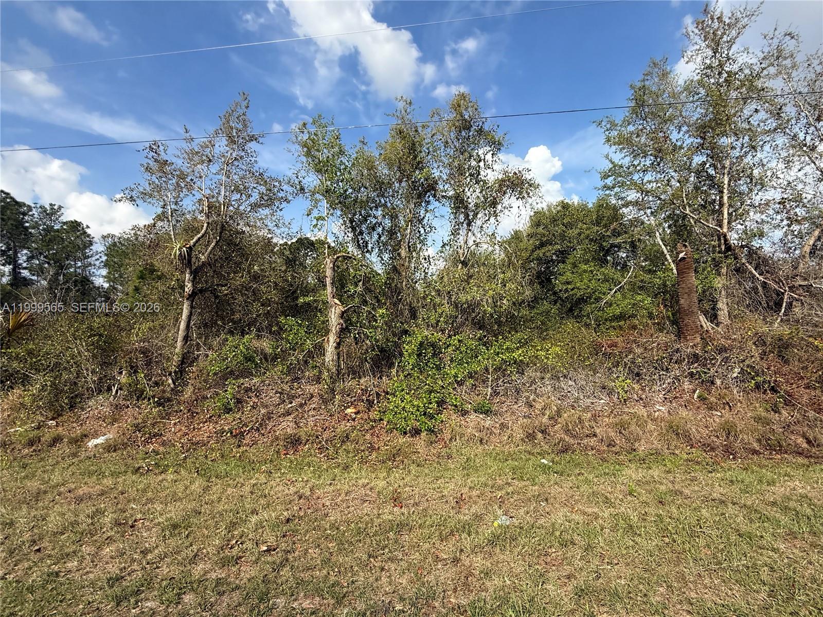 720 North Isora Street Clewiston, FL 33440 - Photo 5 of 8