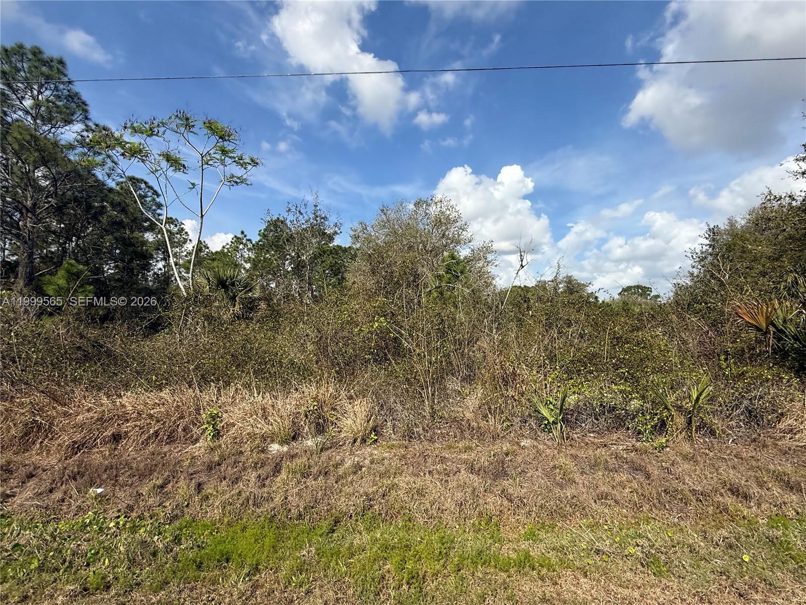 720 North Isora Street Clewiston, FL 33440 - Photo 7 of 8