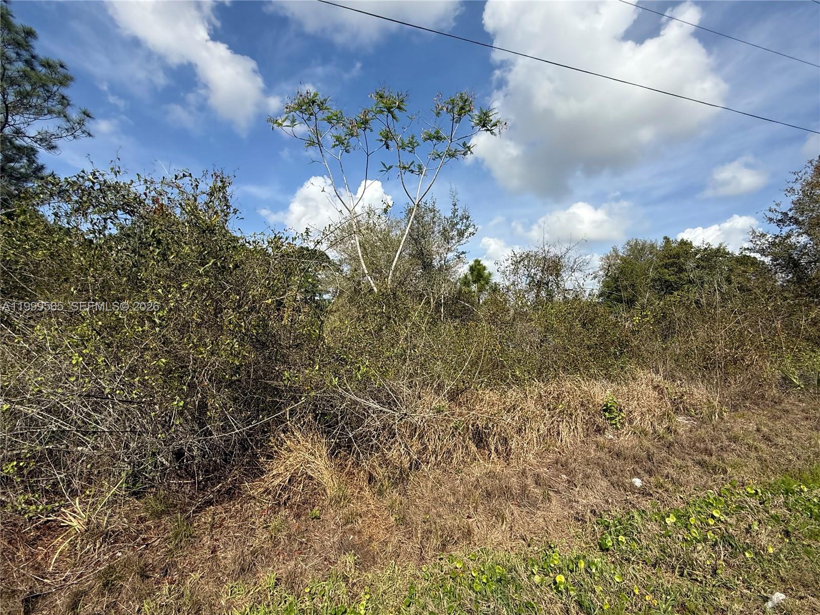 720 North Isora Street Clewiston, FL 33440 - Photo 8 of 8