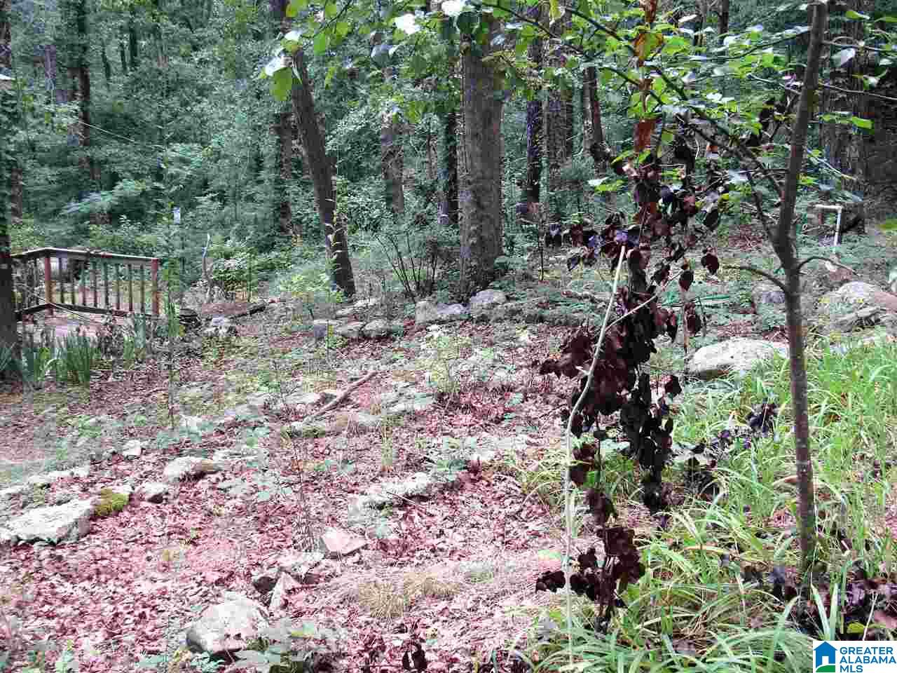 183 Green Acres Road Springville, AL 35146 - Photo 12 of 50