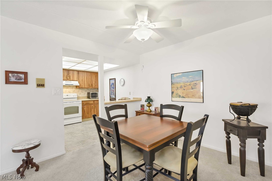 22958 Maple Ridge Road, Unit 103 North Olmsted, OH 44070 - Photo 10 of 29 Gallery Image 10