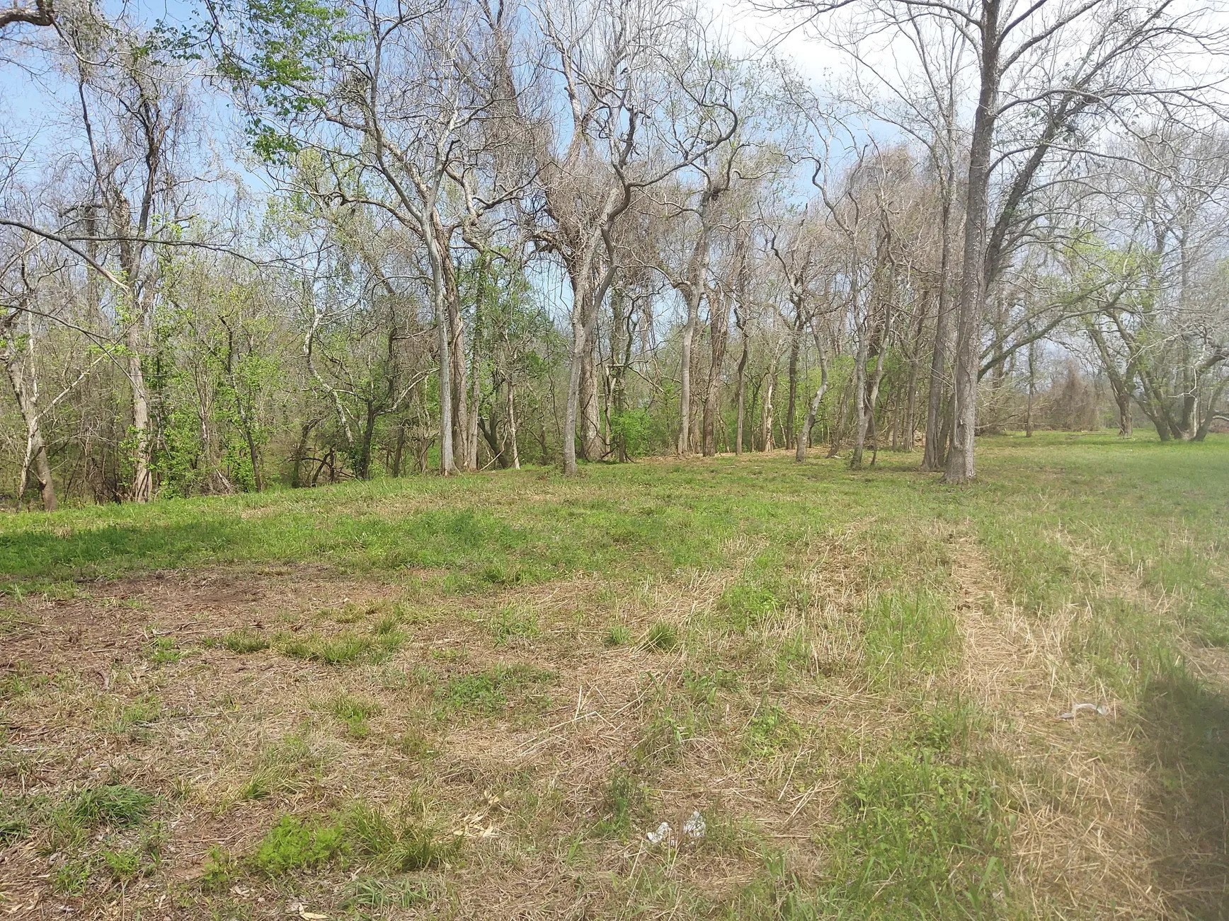 Lot 1 FM 521 Road Angleton, TX 77515 - Photo 15 of 34