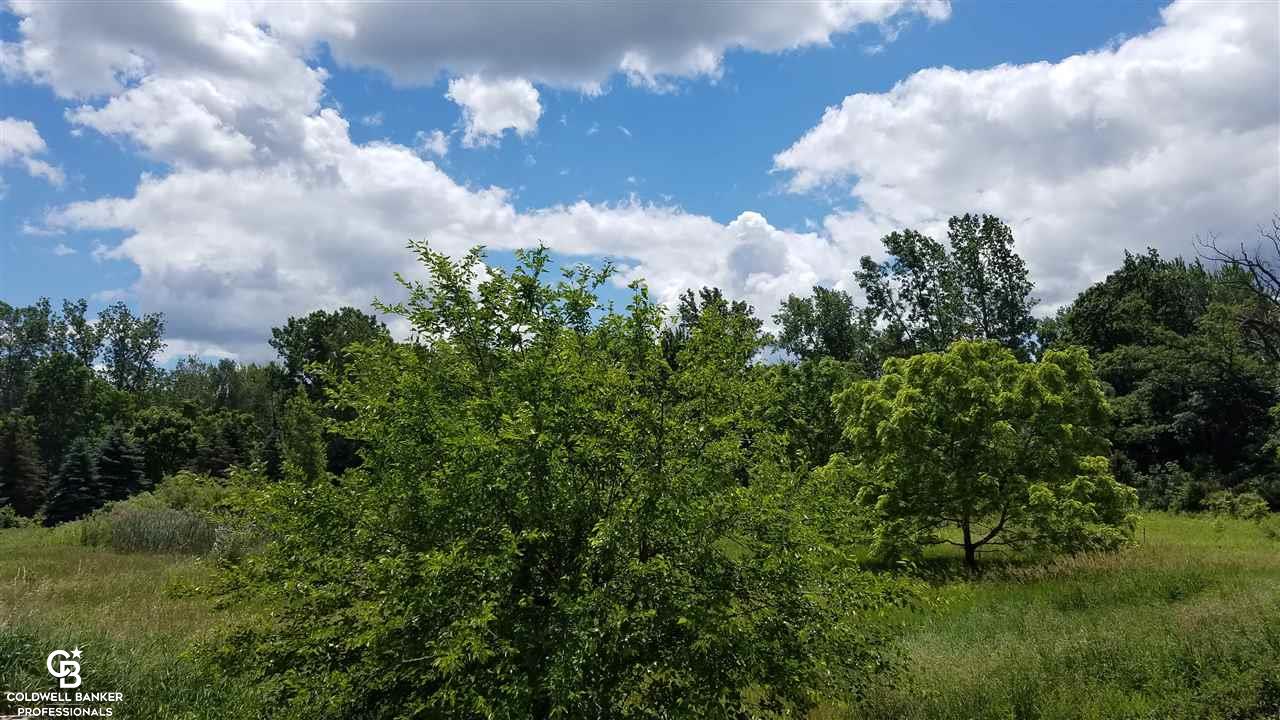 14183 Turner Road Yale, MI 48097 - Photo 8 of 14