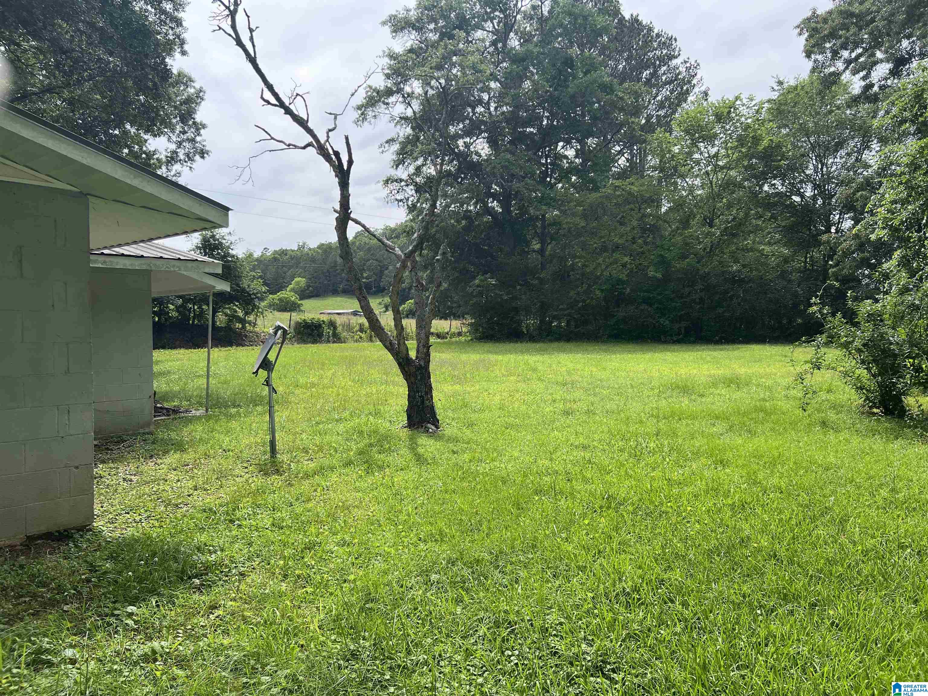 144 Charlie Penny Road Piedmont, AL 36272 - Photo 4 of 12