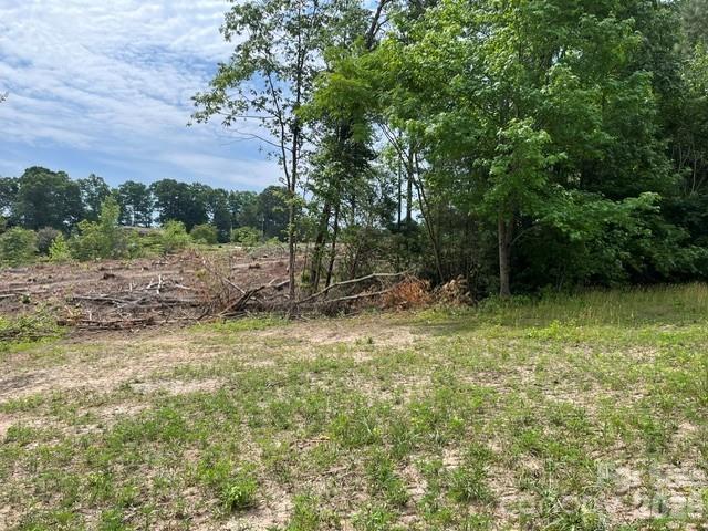 Tbd Fowler Road Granite Falls, NC 28630 - Photo 17 of 22 a backyard of a house with lots of green space