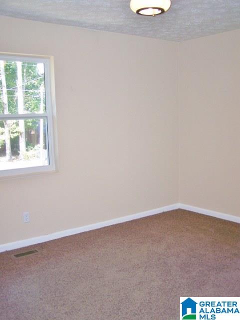 6317 Perry Street Anniston, AL 36206 - Photo 29 of 50