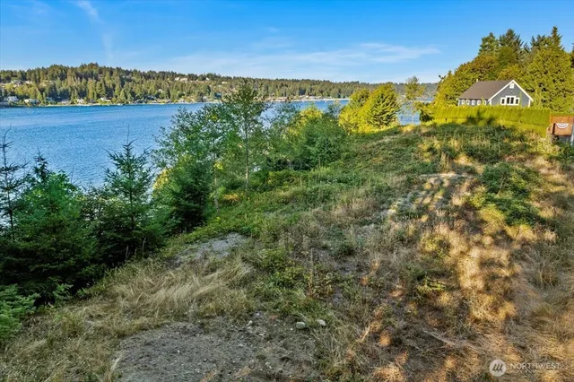a view of a lake with houses in the back
