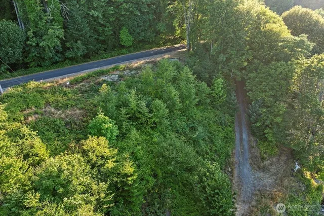 a view of a yard with large trees