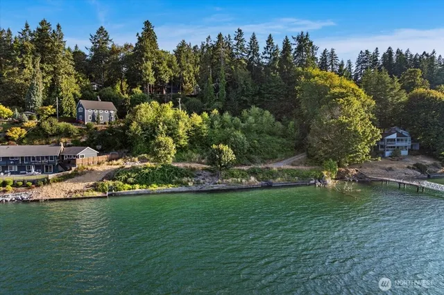 a view of a town with large trees