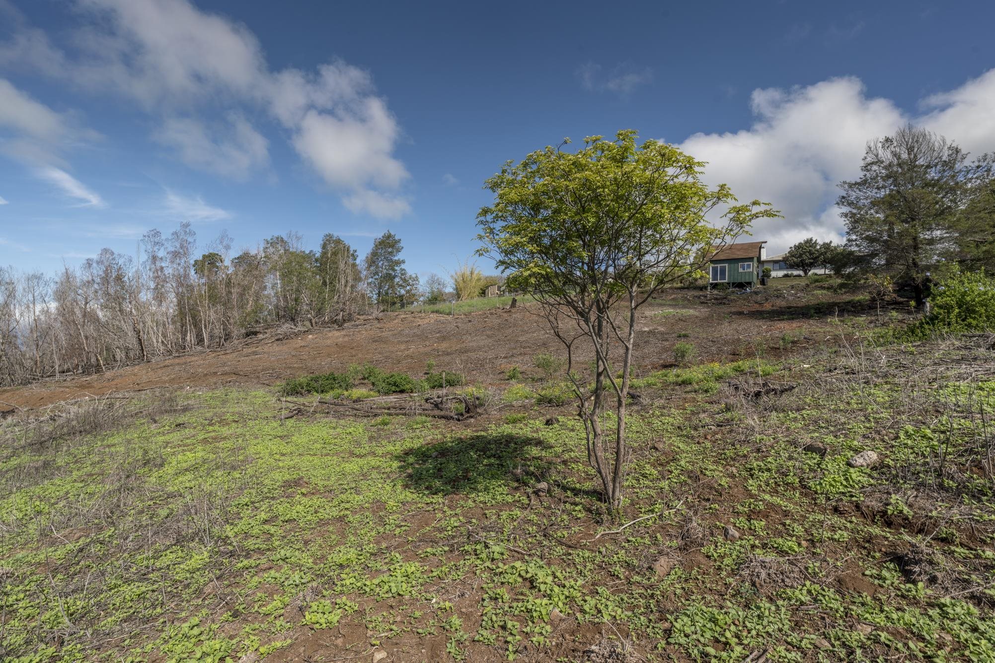 230 Pulehuiki Road, Unit A Kula, HI 96790 - Photo 20 of 29
