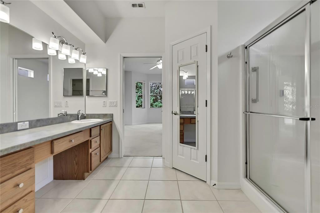 8049 Sanguinelli Road Land O Lakes, FL 34637 - Photo 19 of 45 a large bathroom with a granite countertop sink mirror and shower