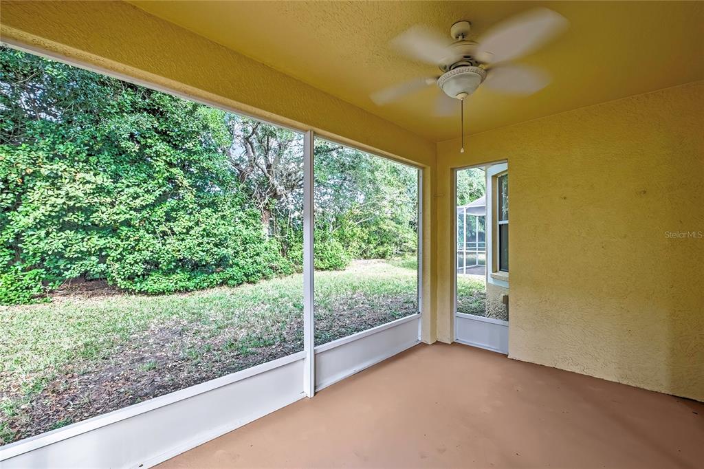 8049 Sanguinelli Road Land O Lakes, FL 34637 - Photo 38 of 45 a view of room with window and ceiling fan