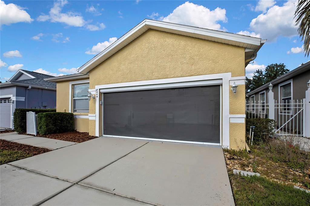 8049 Sanguinelli Road Land O Lakes, FL 34637 - Photo 43 of 45 a view of backyard of the house