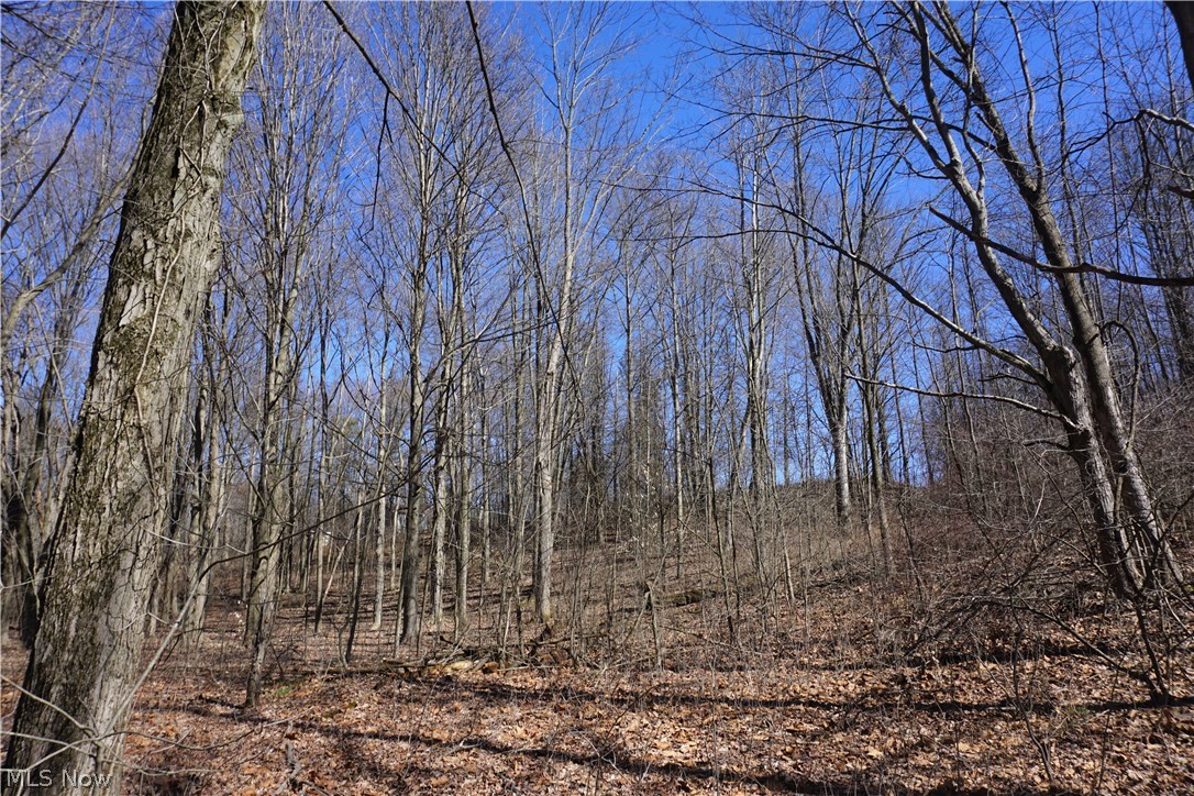4501 Alliance Road Ravenna, OH 44266 - Photo 23 of 35