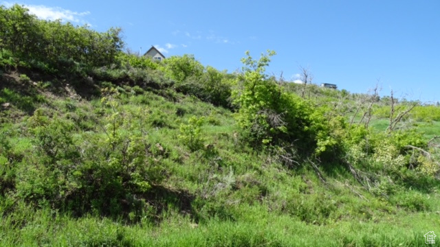 1775 South Beaver Bench Road, Unit 1424 Heber City, UT 84032 - Photo 1 of 38