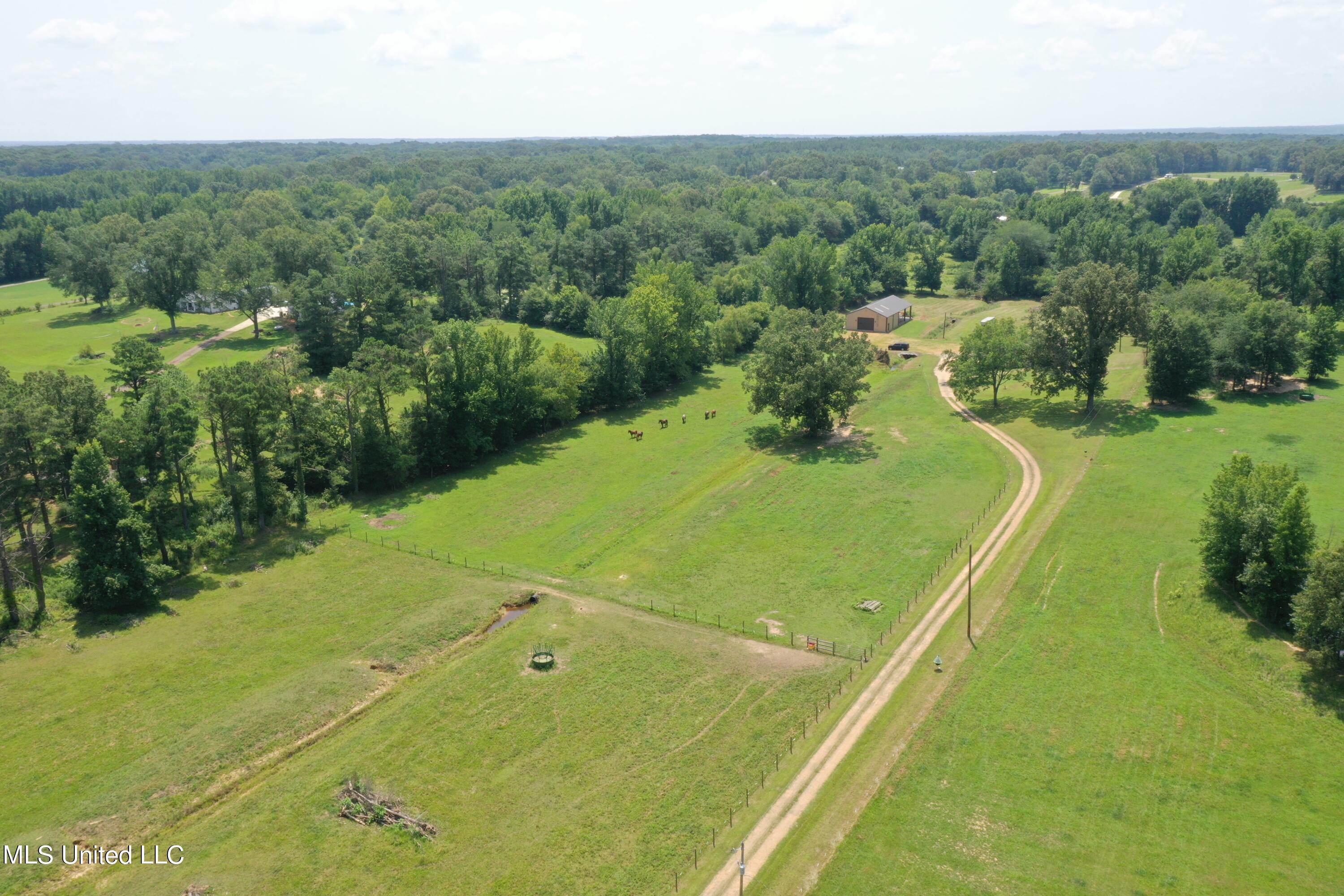 1374 Gaines Road Hernando, MS 38632 - Photo 2 of 43 Aerial from Street