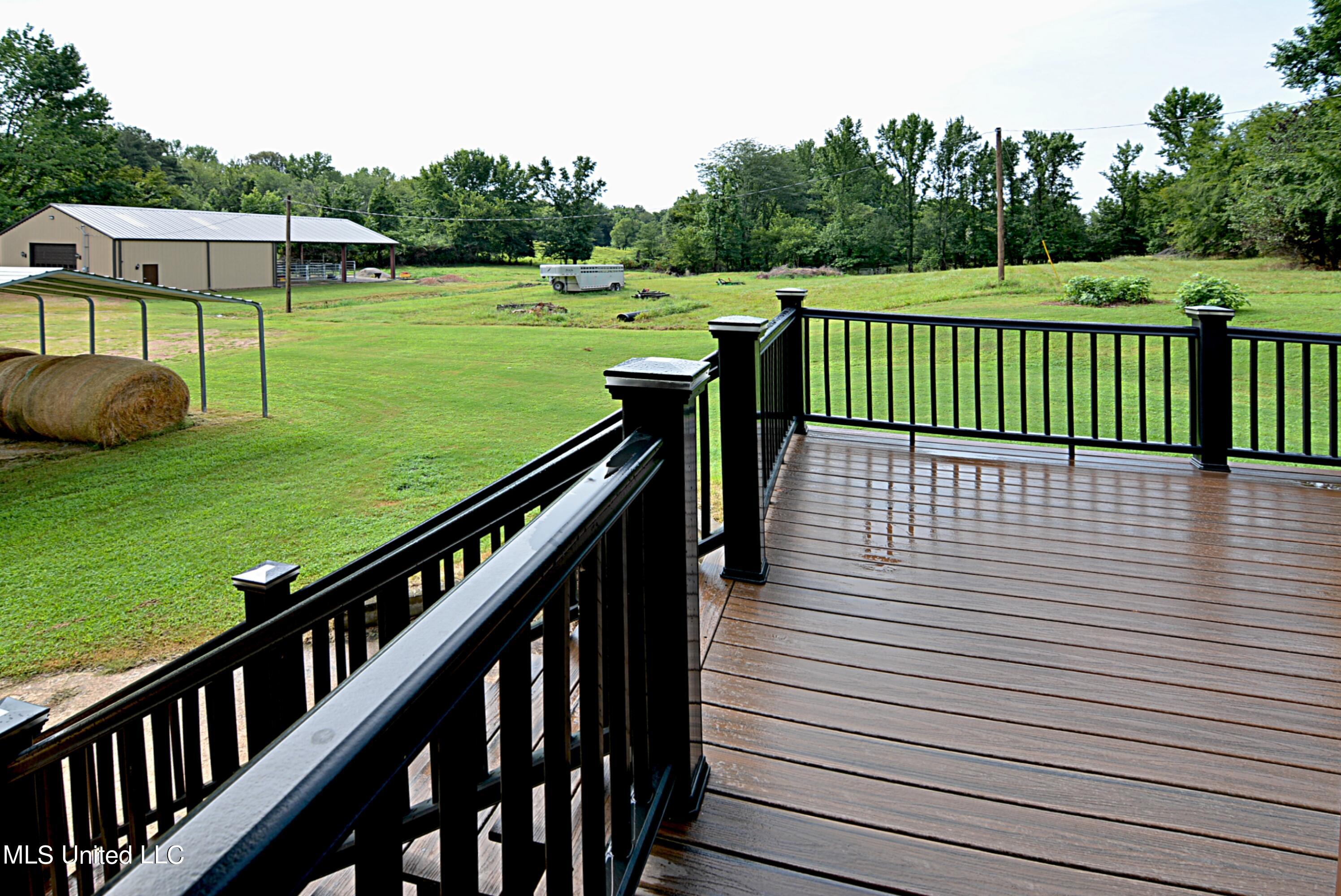 1374 Gaines Road Hernando, MS 38632 - Photo 30 of 43 View from Back Deck off Great Room