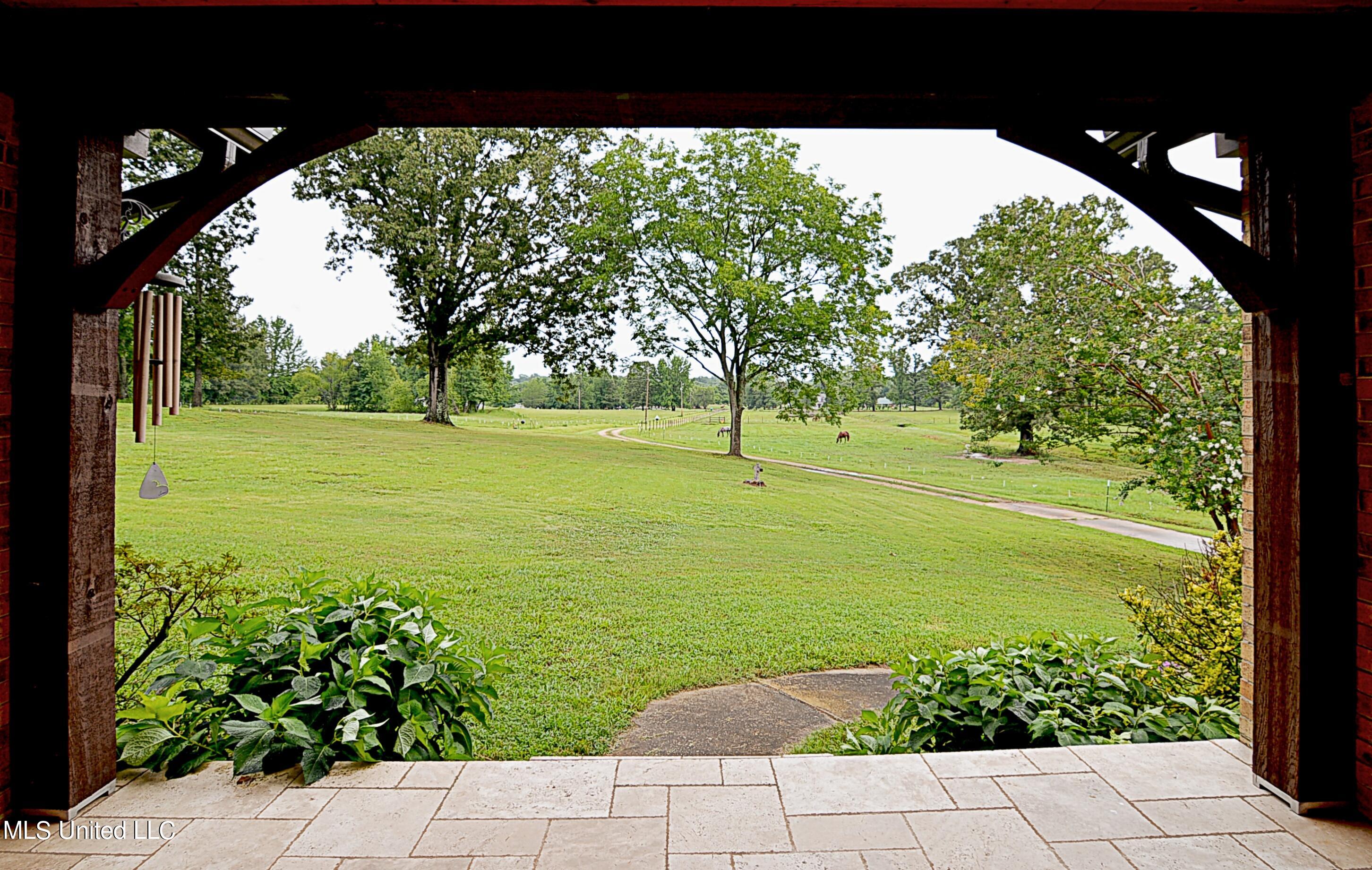 1374 Gaines Road Hernando, MS 38632 - Photo 31 of 43 View from Front Porch