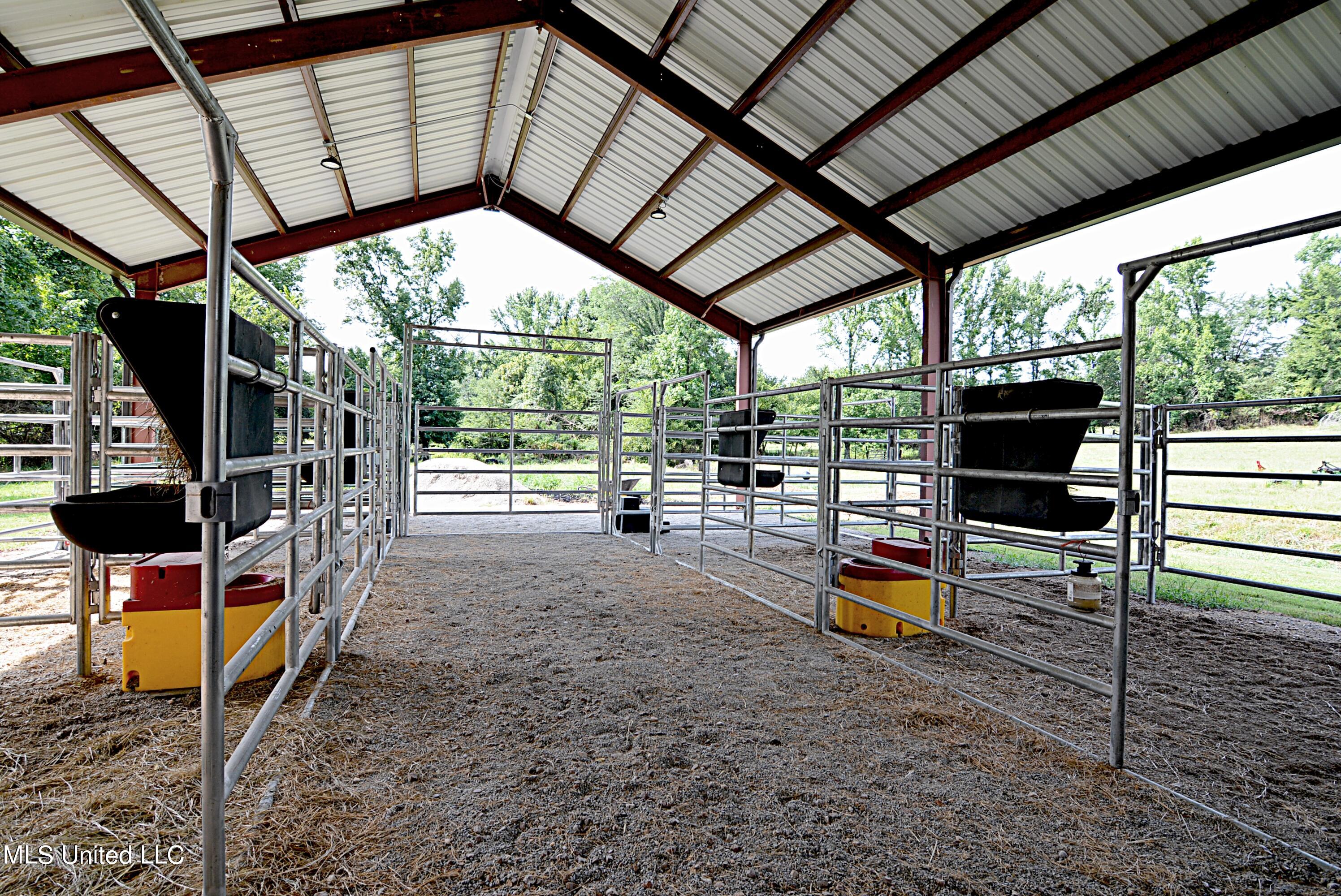 1374 Gaines Road Hernando, MS 38632 - Photo 38 of 43 Stalls