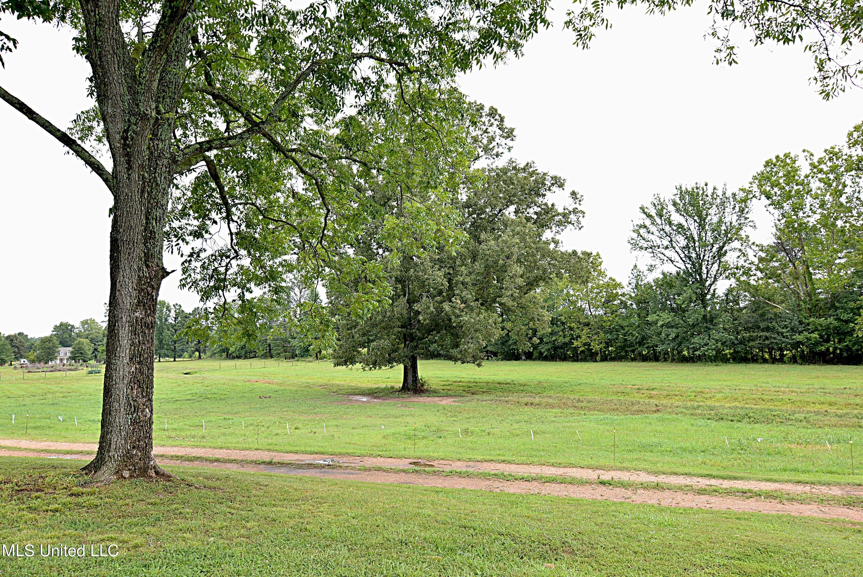 1374 Gaines Road Hernando, MS 38632 - Photo 39 of 43 Pasture