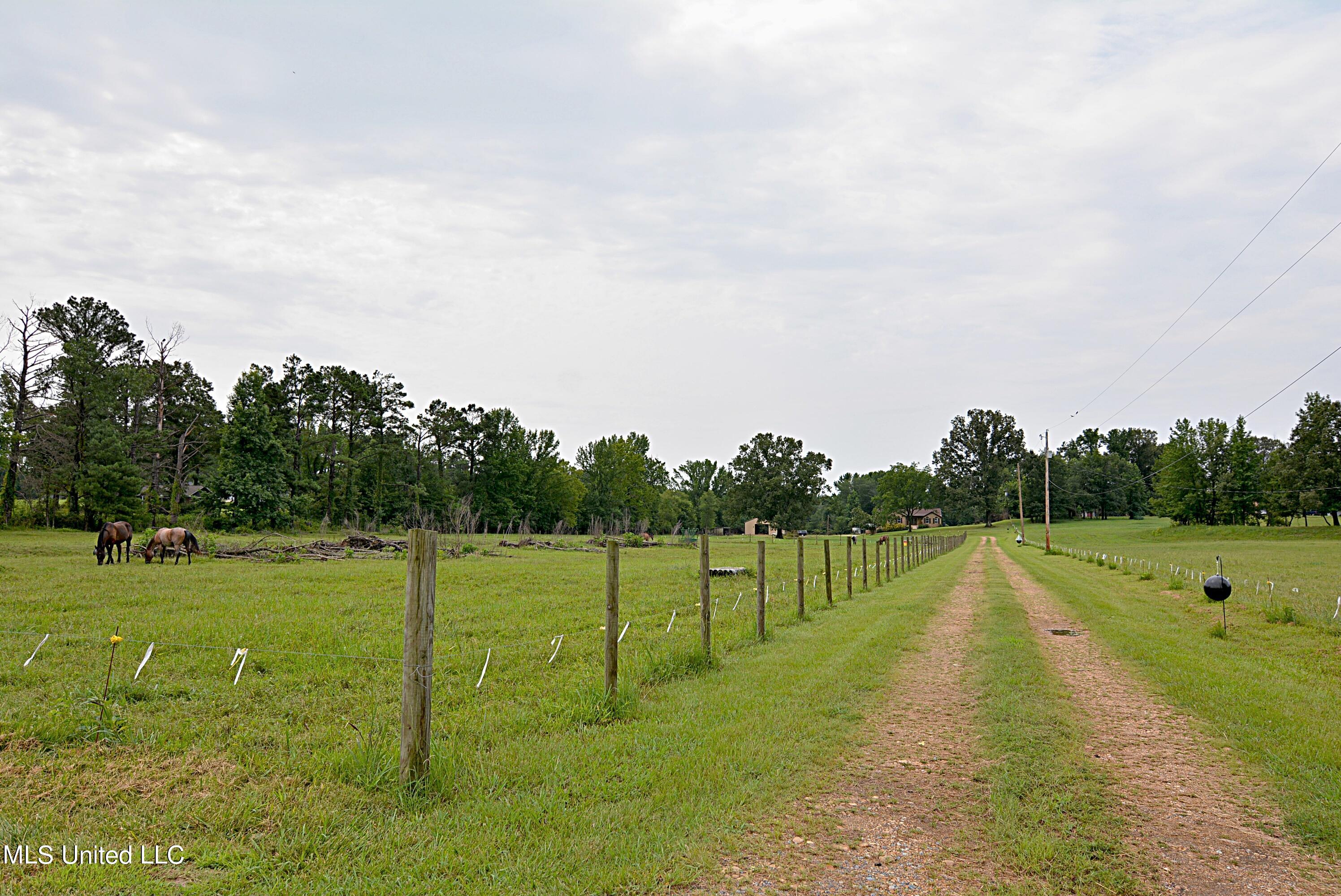 1374 Gaines Road Hernando, MS 38632 - Photo 41 of 43 View from Road