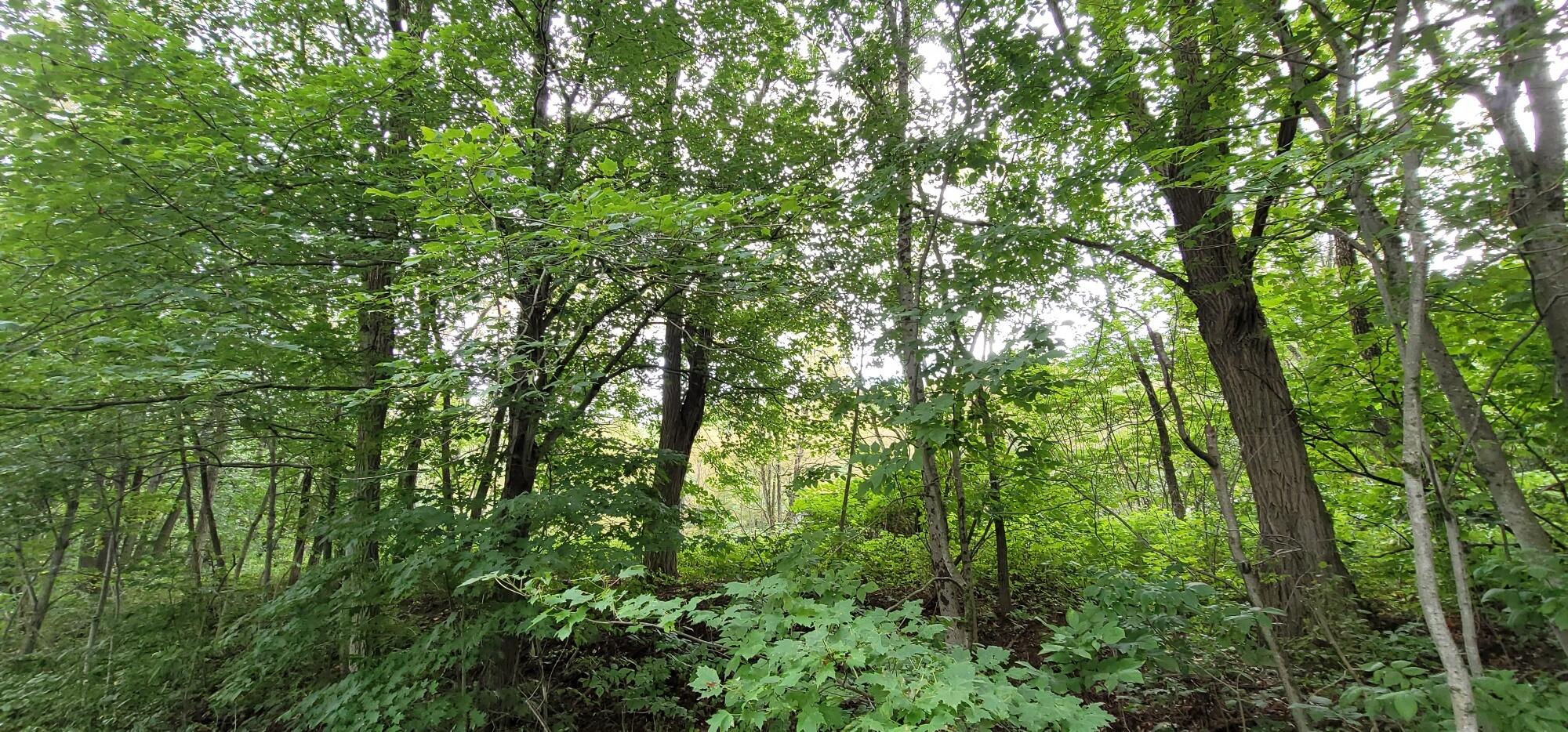 592 River Road Canton, ME 04221 - Photo 3 of 14 4