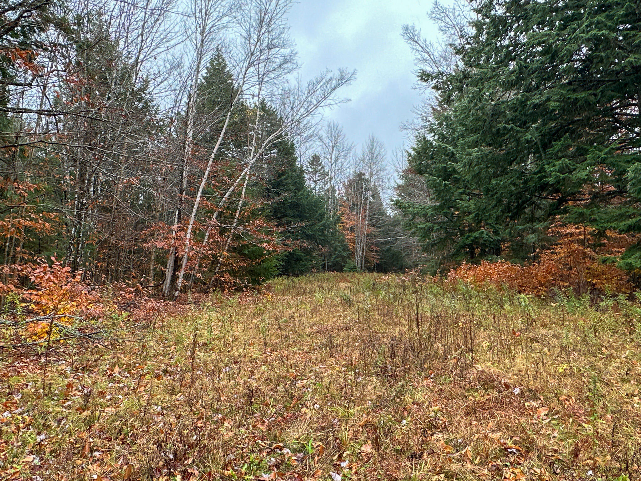 M6-l34 Rabbit Path Corinth, ME 04427 - Photo 12 of 16 Photo Oct 30 2023, 11 49 43 AM