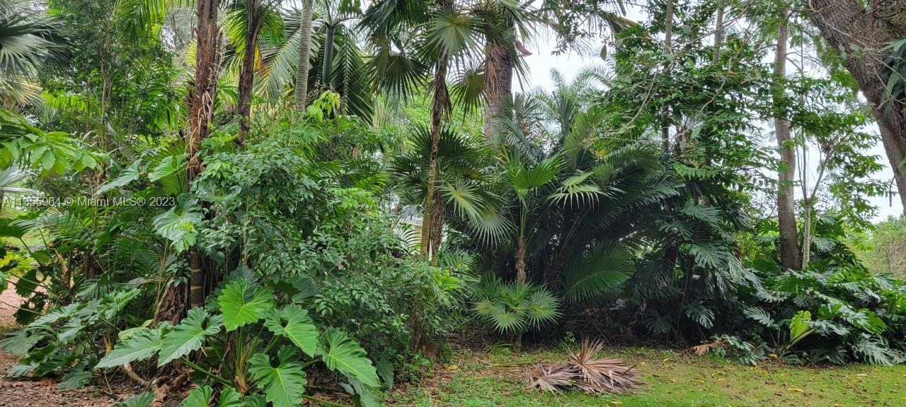 Redlands Homestead, FL 33031 - Photo 27 of 31 a backyard of a house with lots of green space
