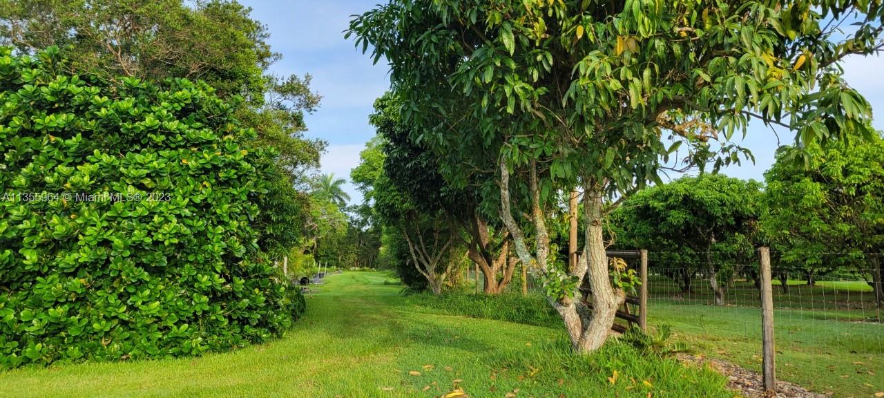 Redlands Homestead, FL 33031 - Photo 29 of 31 a view of a tree in a yard