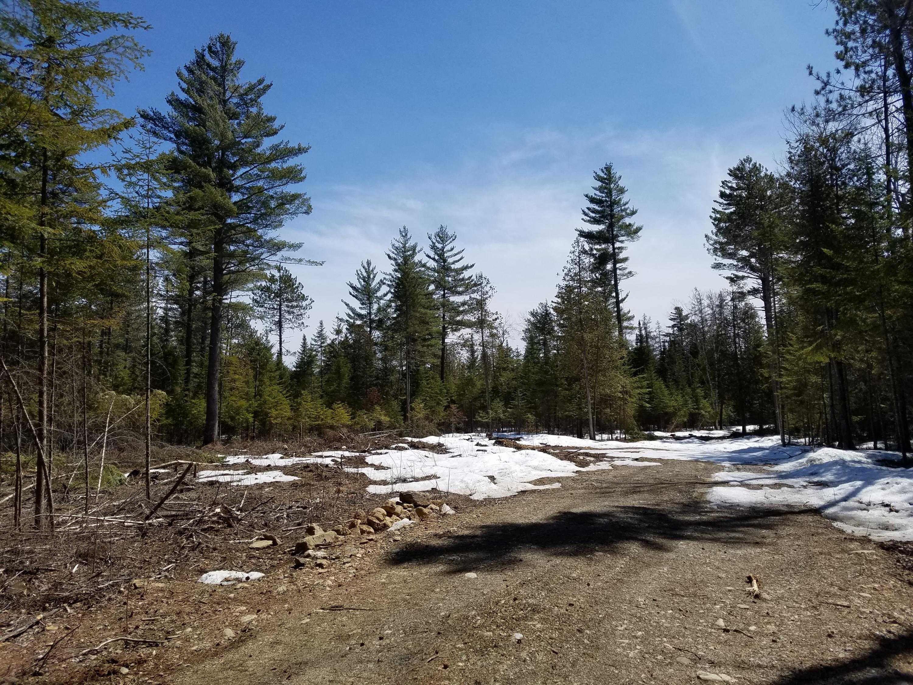 Tbd Tbd R03-lot 4) Eustis Ridge Road Eustis, ME 04936 - Photo 4 of 6 Cleared Part of Lot