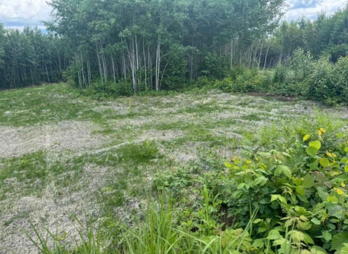 Tbd6.5 Moose Lake Road Duluth, MN 55803 - Photo 7 of 18