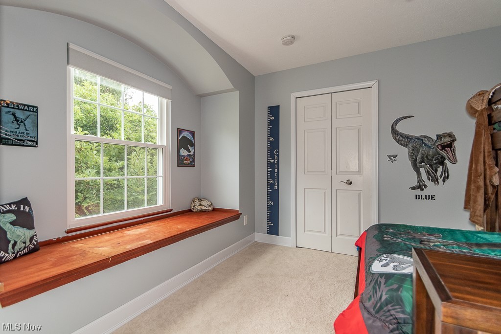 13880 Radcliffe Road Chardon, OH 44024 - Photo 29 of 35