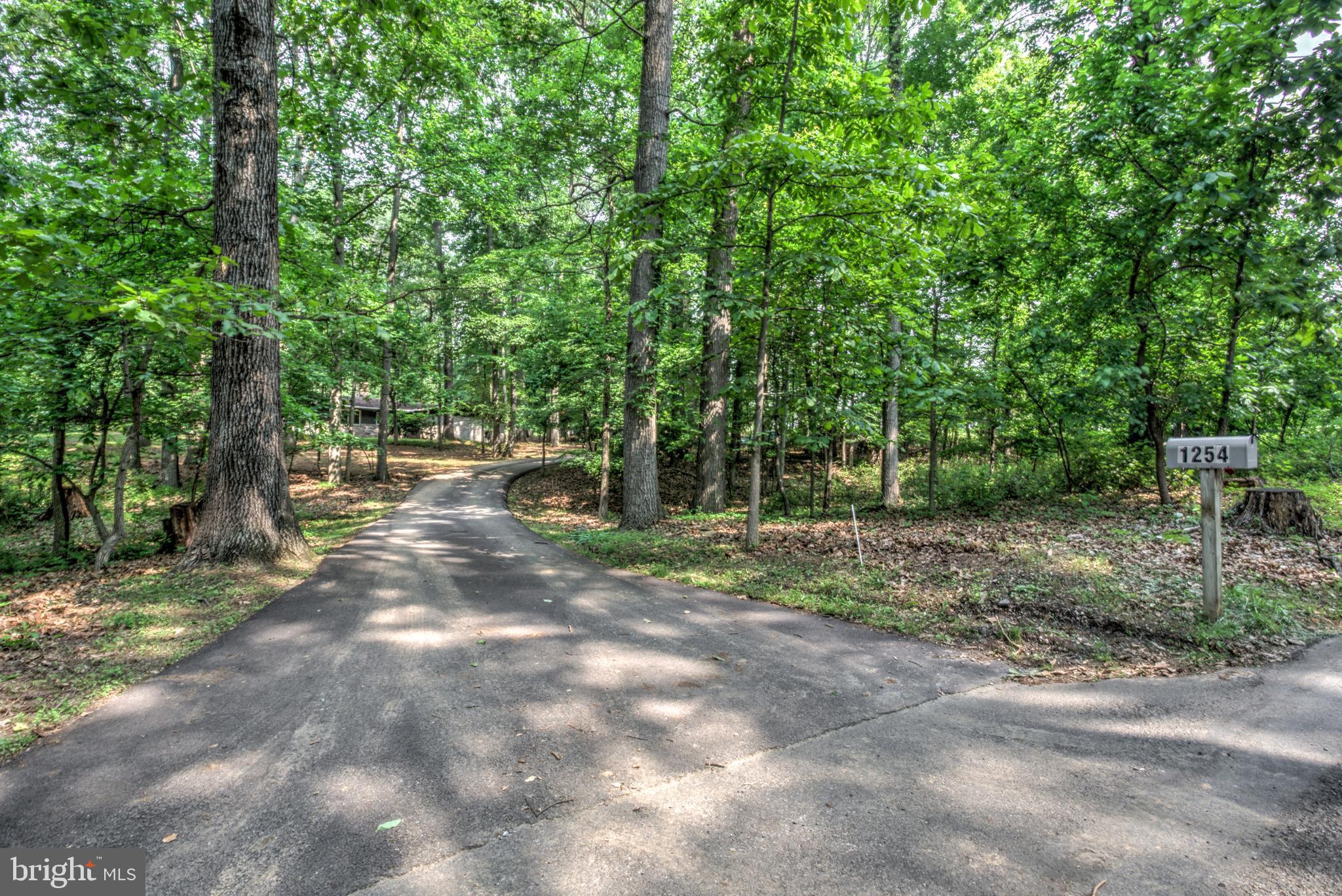 1254 Pinch Valley Road Westminster, MD 21158 - Photo 3 of 45 a view of outdoor space with trees