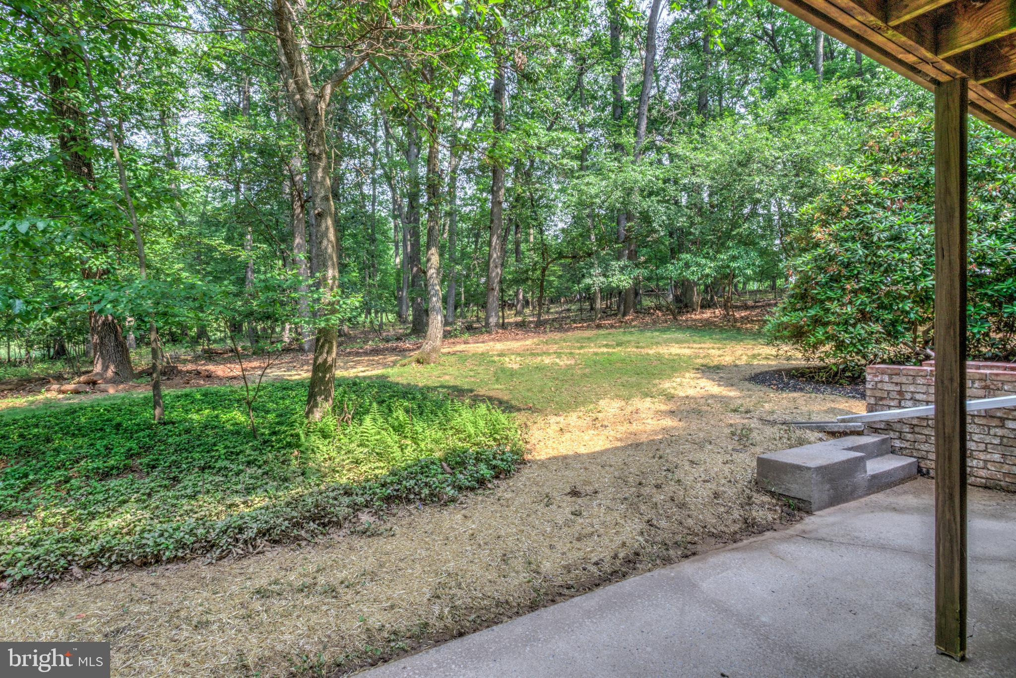 1254 Pinch Valley Road Westminster, MD 21158 - Photo 10 of 45 a view of a yard with a tree