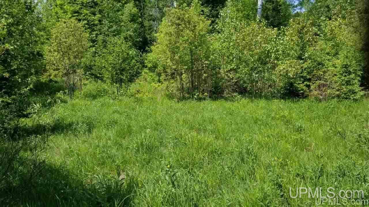 Tbd North Angeli Road, Unit 15 Iron River, MI 49935 - Photo 2 of 15